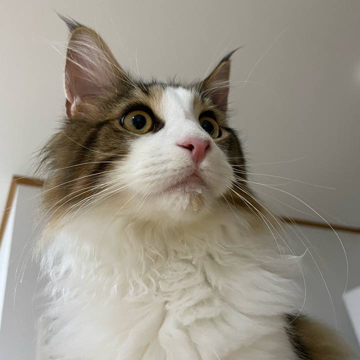 Bd92658f b7b0 466a b62a 64f91f70c052 1638218755029