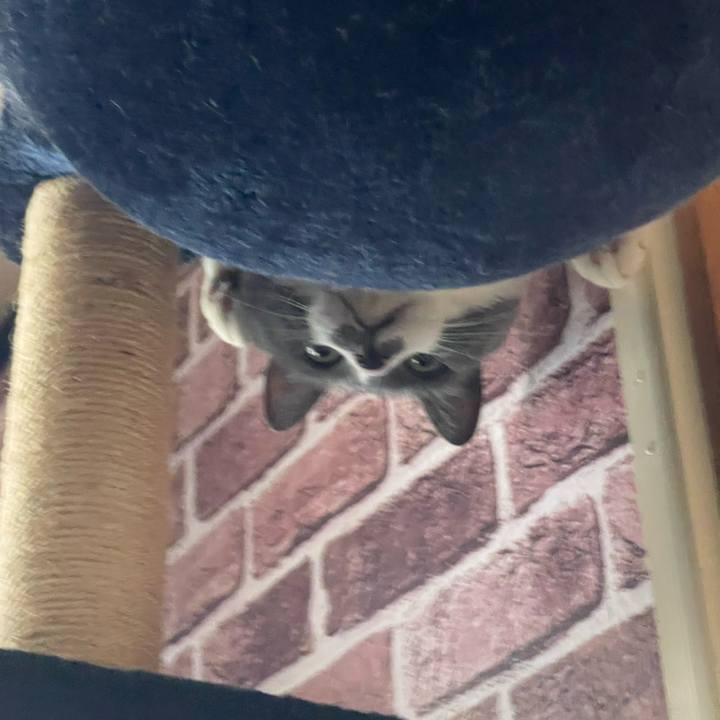 Bd9281bf 742f 4384 b658 e8699dd2aadf 1747552918560