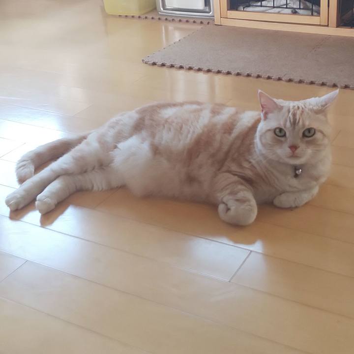 Bd928cb2 146c 466d b5f1 d408d97eff1b 1558596620904