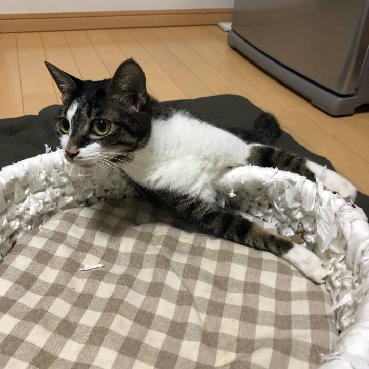 Bd929d73 bec8 41c7 9428 86f9852fd386 1573225120221