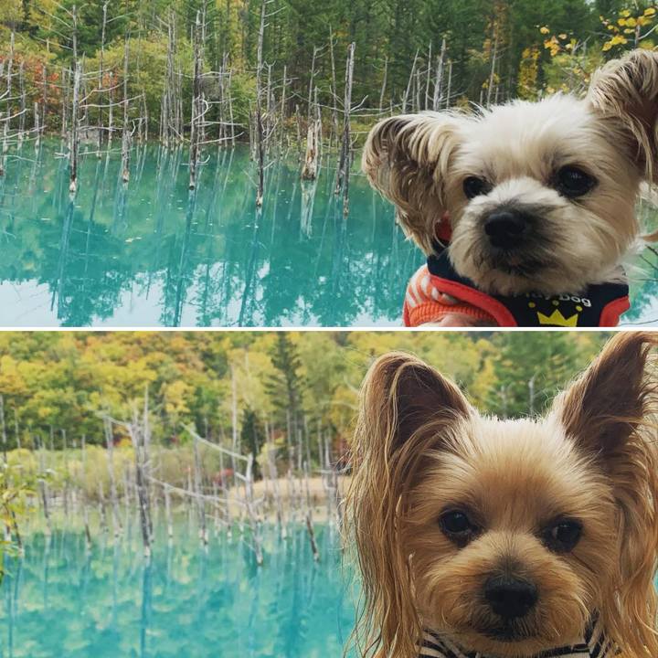 Bd93044b 6ead 49c1 a4cd eec9210fbb11 1760351310737