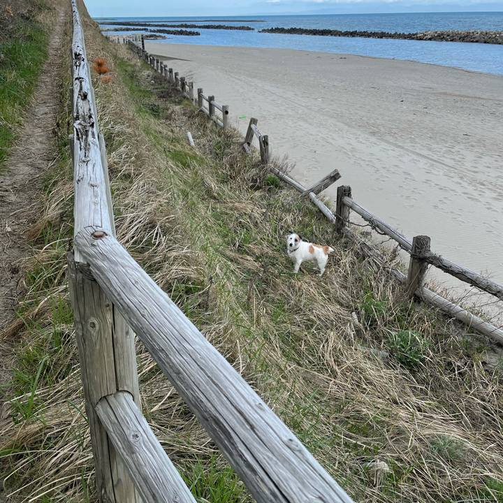 Bd930d0b f5af 4ad7 8098 f9dd05139887 1617748466400