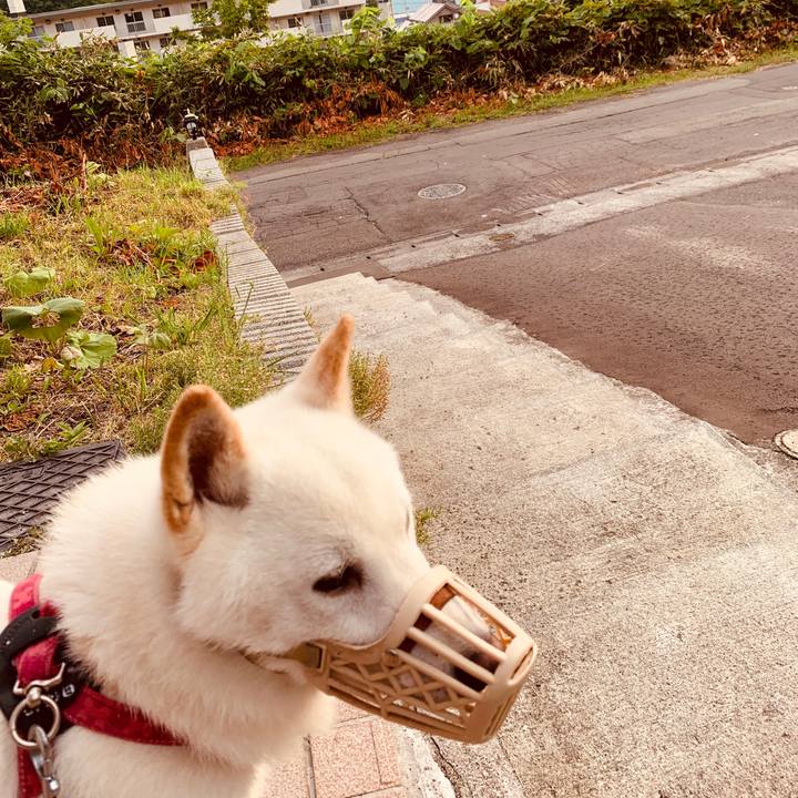 Bd93326f 502e 4eac 907d f57bce6aaf9a 1563396338336