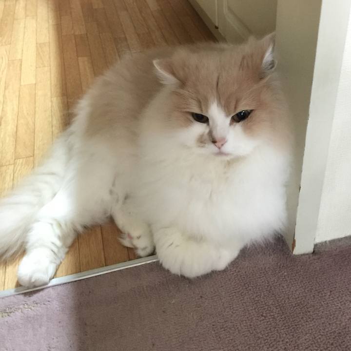 Bd933ddc e17b 420c b658 a8e2d6dc44ea 1511922020030