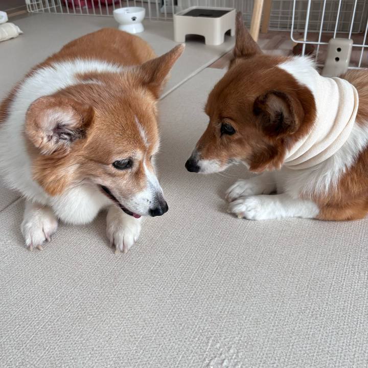 Bd93530f 3976 42e9 8653 ac59d06e2823 1754704813778