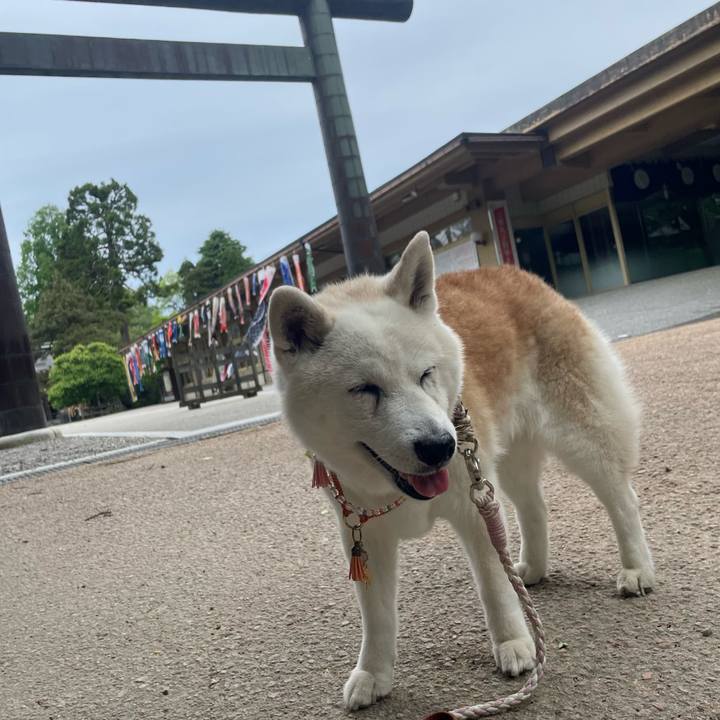 Bd937b25 4fb8 4a35 a212 b02b17e9d4ef 1715051418756