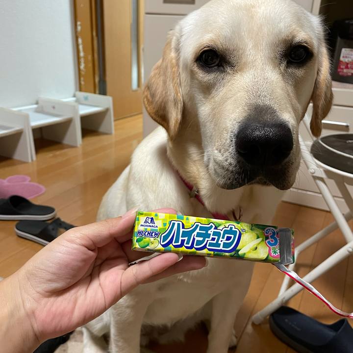 Bd938d5c a5d0 4cf3 ab06 d10c3bdf848c 1634644860849