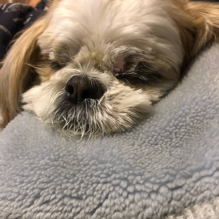 Bd9397cb 7631 4bda 9568 4d1e08674114 1606946376282