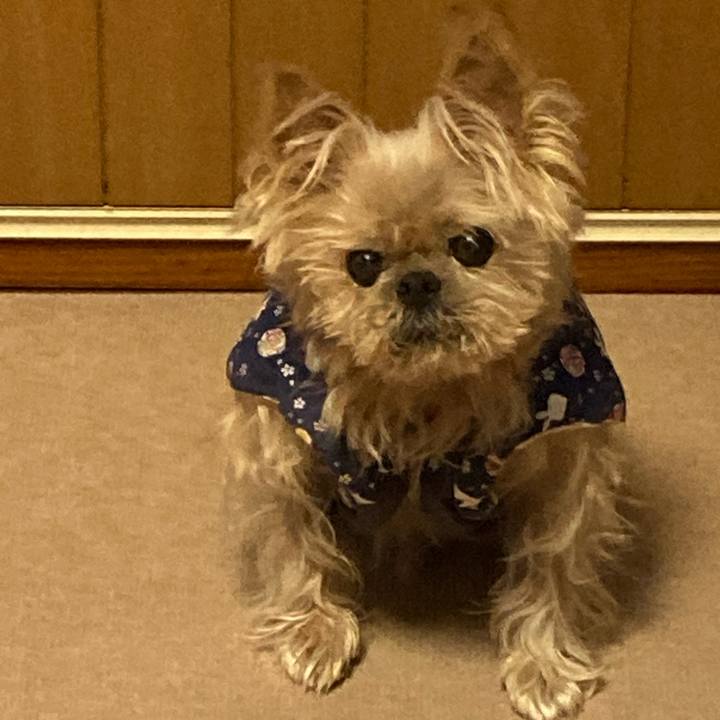 Bd93b4ea edb5 4a26 82fe b78499165ec7 1703295502446