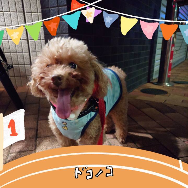 Bd93b7f0 68c9 4781 9a9a c69fedc5336a 1761476136832