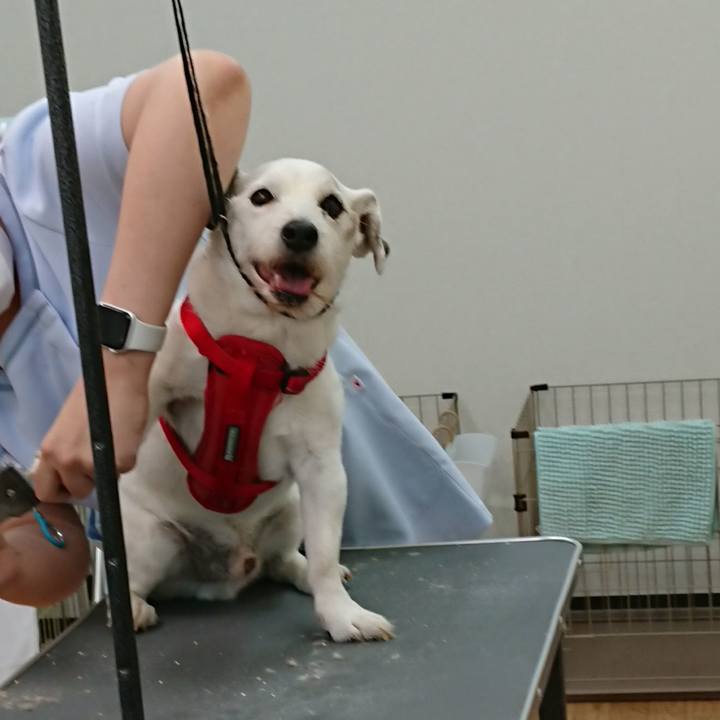 Bd93e70e d015 4527 9e81 feb48c2799e4 1588375773634