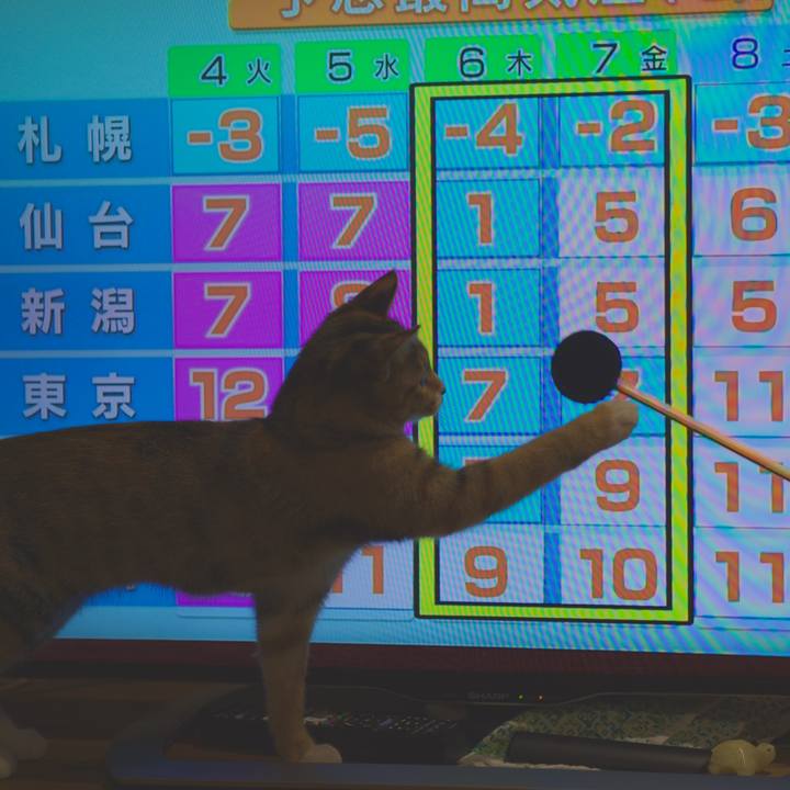 Bd93e8bf 46e5 4890 934c 7598dd363255 1580803146113