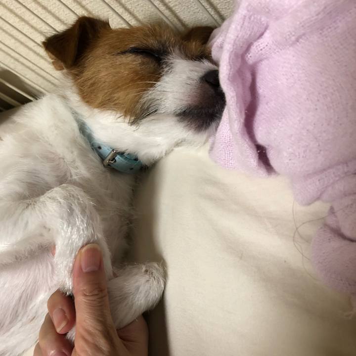 Bd93e90d 08aa 4006 bd09 ec026aa3adde 1537021200014