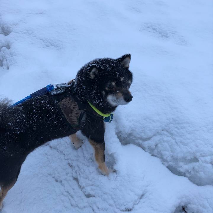 Bd93ff7c 268b 4514 a011 e4dbe603ff3e 1552732053113