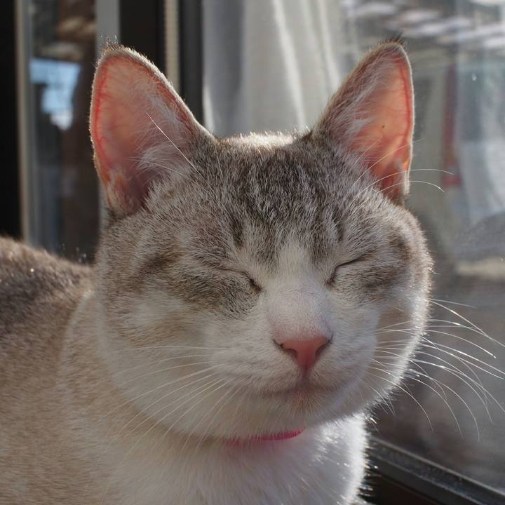 Bd943c27 28d0 4fb3 9c66 71a0a574f516 1516503060195