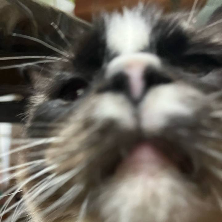 Bd94512b ba9c 42ef 8e82 971f09c8934e 1711030655803