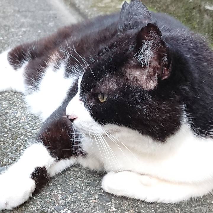 Bd9467cb 580e 4ce7 94b7 fa27abeeee40 1658134090733