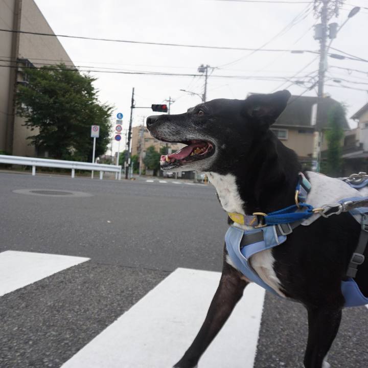 Bd947951 8815 4e0c b42d e0f37dc3dc1e 1756602428517