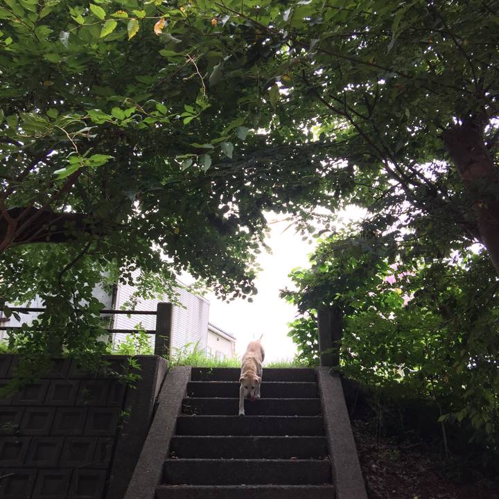 Bd948aa4 e15c 4b03 aafd 96f7a5d3c59c 1565006273960