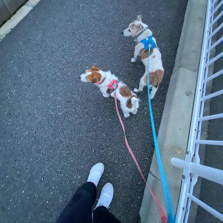 Bd94d83d 1bc4 46ff 8fb2 c5375763eb66 1709760069114