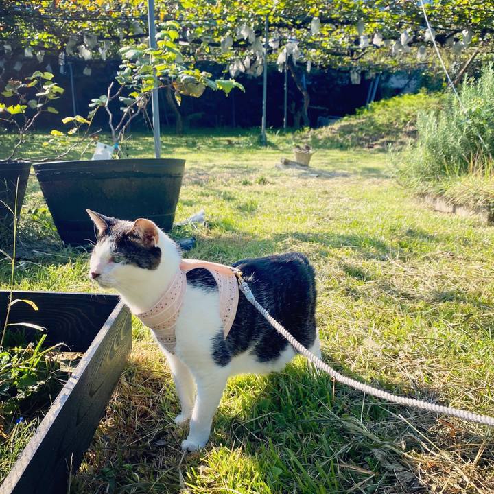 Bd94dad0 8d6c 46e2 a9ff 99935685c5e4 1601599414375