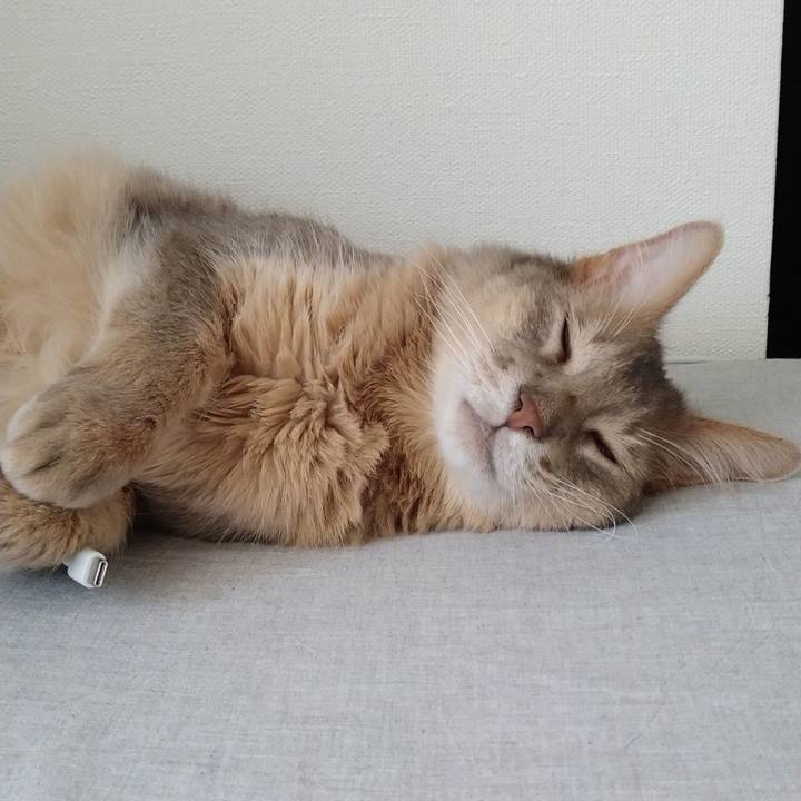 Bd95687f dd15 48ed ae67 cb0853b0700d 1623302665060