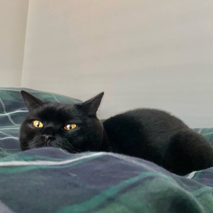 Bd9596c2 07b7 488c 848e d1f75434f7e0 1640845643073