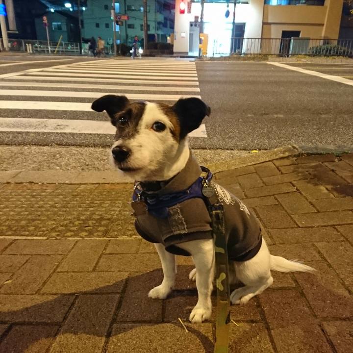 Bd95b5c6 82cb 4f52 bc71 a8d7ce591098 1513340036499