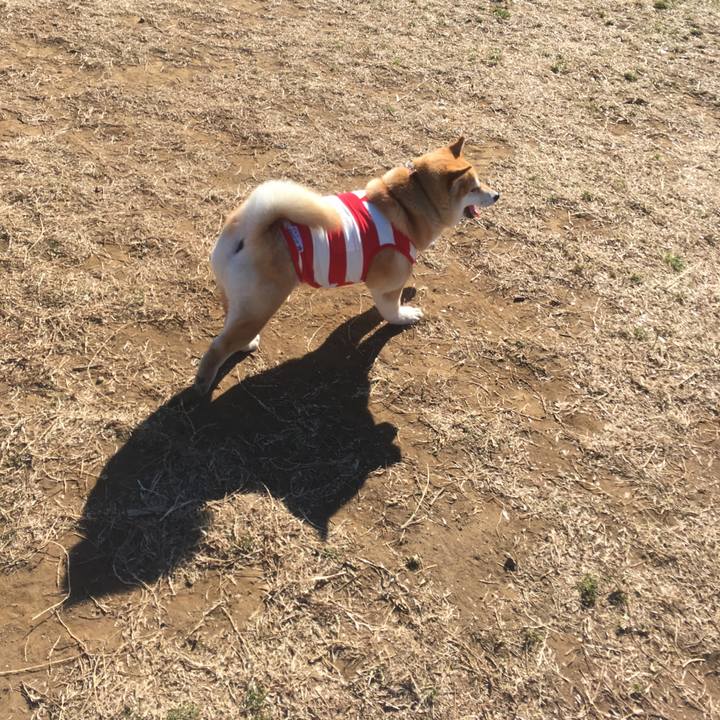 Bd95f8ce 8572 4533 99fd d79e2d522c65 1548570598646