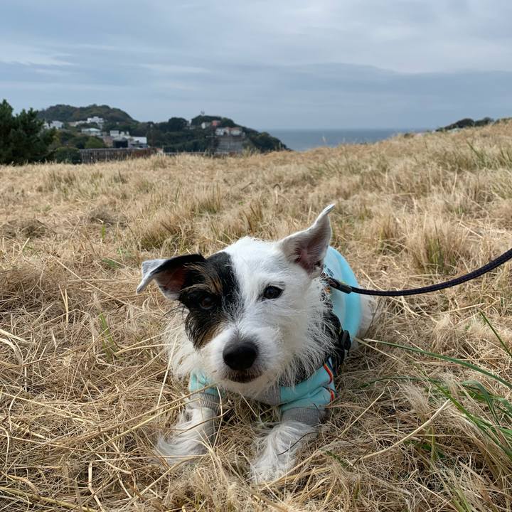 Bd966517 98c0 4e8c aa8a 3624af41d7a4 1668906322298