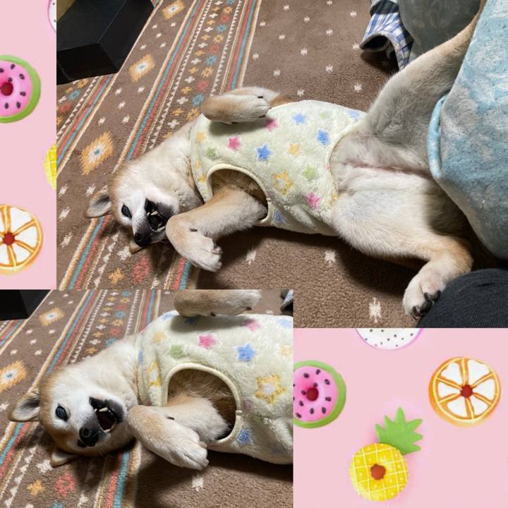 Bd966532 0759 4900 bf98 416af9c32e0b 1772093662398