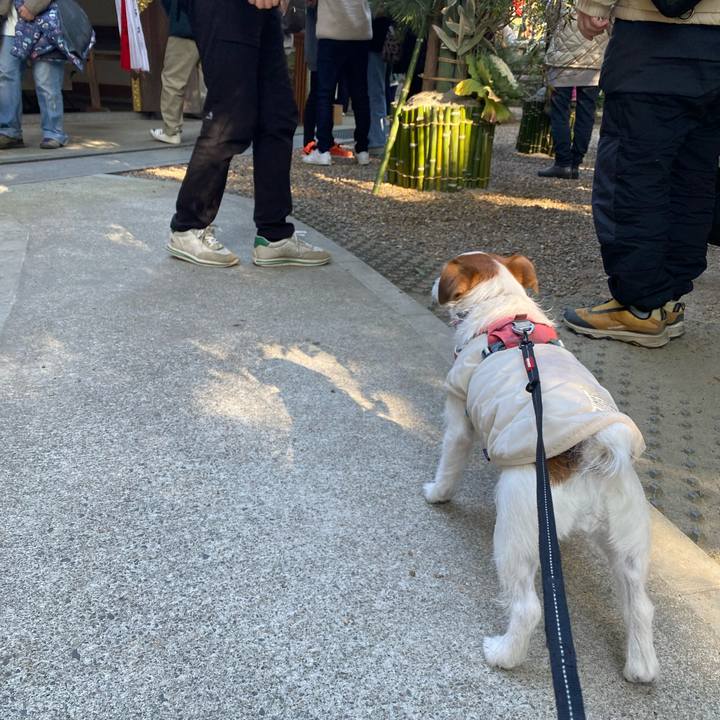 Bd966ec1 3468 48b9 875e 0f872e0d0988 1735724059844