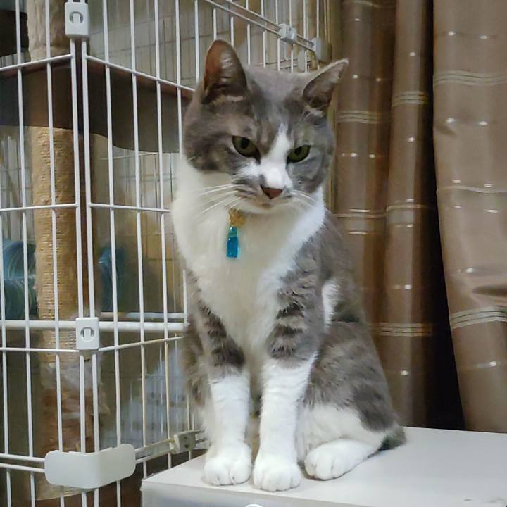 Bd9682a8 c591 4be3 8697 042c387651ad 1724588956459