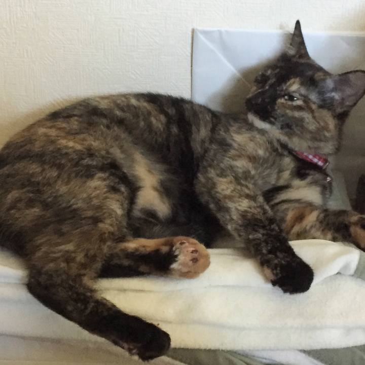 Bd968588 5e8e 4fec 8b97 2ce6421135d7 1597116773573