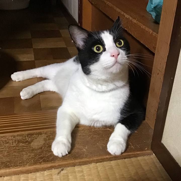 Bd9688a9 b88b 496a b086 36e394d4b6ef 1725703851765