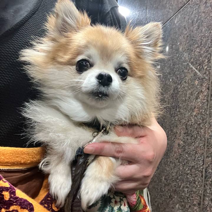 Bd969069 e43c 4444 9f54 92deced06563 1752415999439