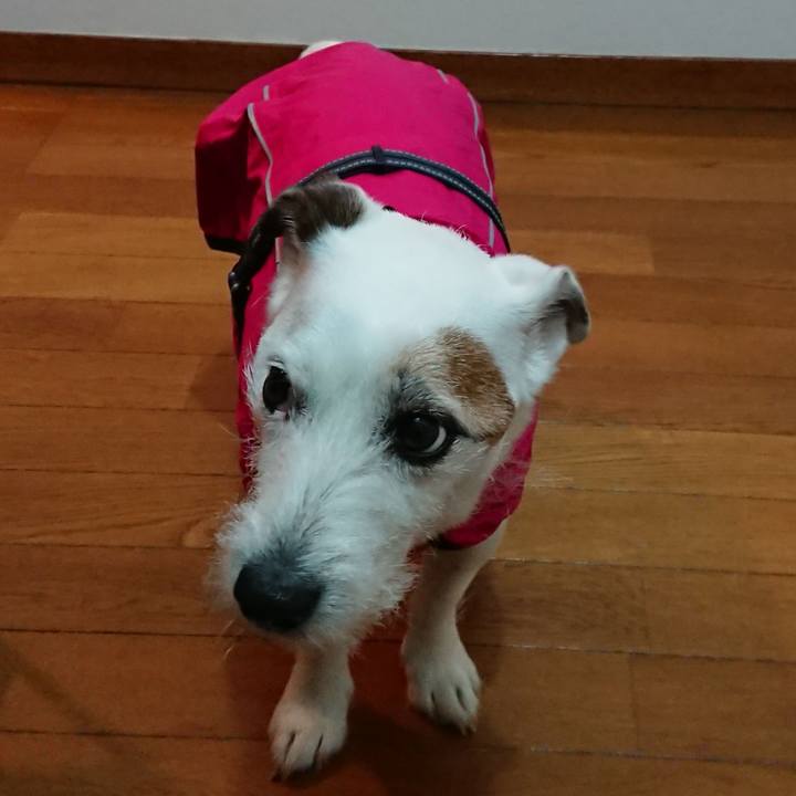 Bd96a443 7d3d 4a11 8e90 4418789b3d88 1525736654216