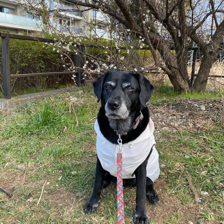 Bd96b553 9b58 4c2d 9cd0 5e373ad95907 1645949425674