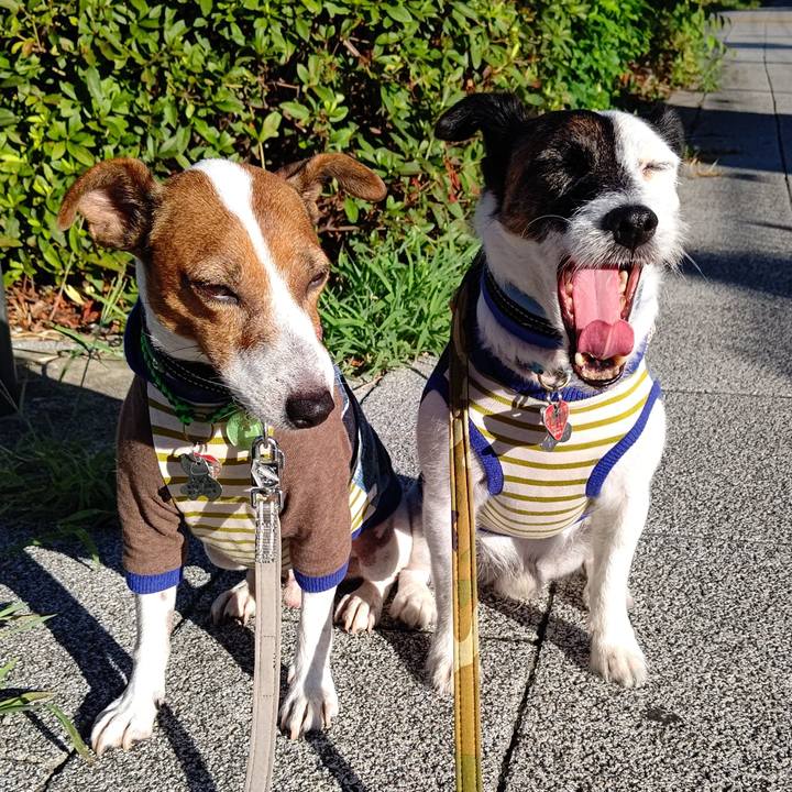 Bd96d67e d551 4439 8eff 21ba2625488f 1692914557110