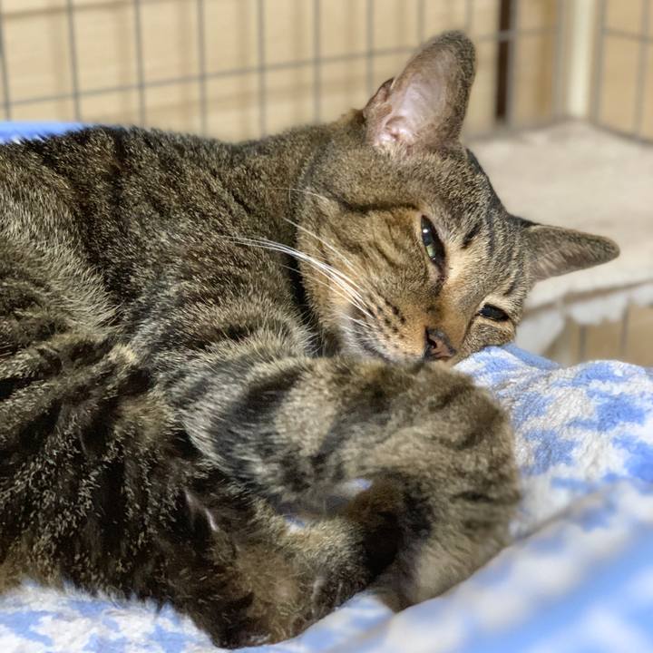 Bd96e06d ca76 468e 9522 e210618f5672 1600904386571