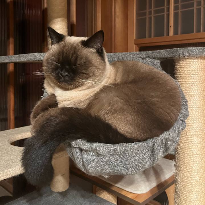 Bd96ee71 294c 48f7 a568 e99cc64bd5e5 1667650420368