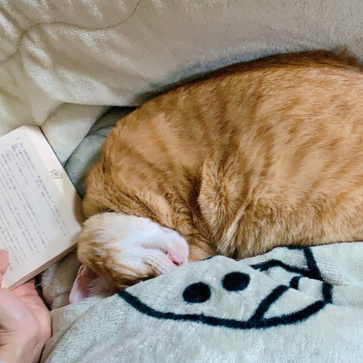 Bd970d77 8f7d 49b3 8308 7004b7e52dbb 1609324682844