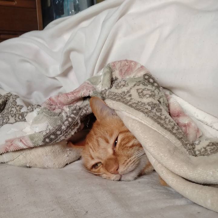 Bd97361c cfa9 4021 9798 ff5b918de554 1703303171266