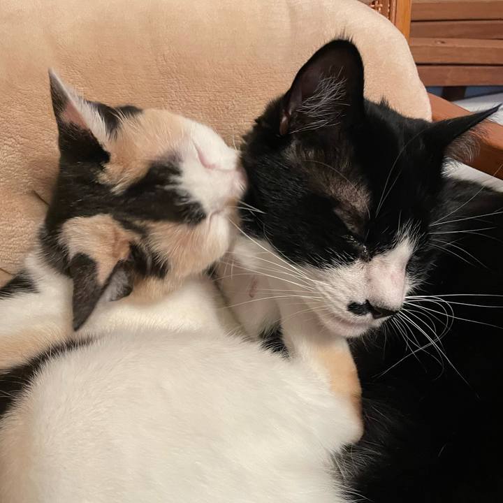 Bd9750eb a7af 4a50 af2e 2e0eb982de86 1745835332341