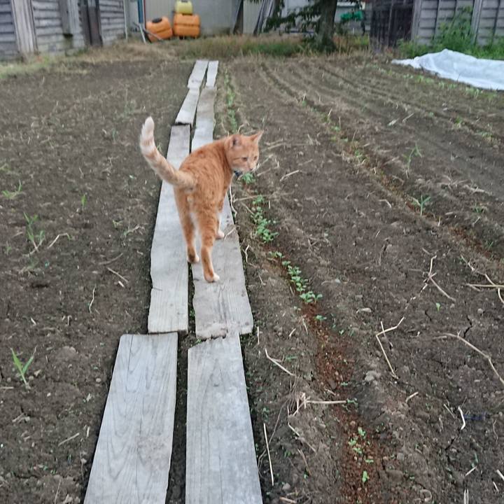 Bd9752d3 cd08 40be a276 0e21af7c7be6 1567588460188