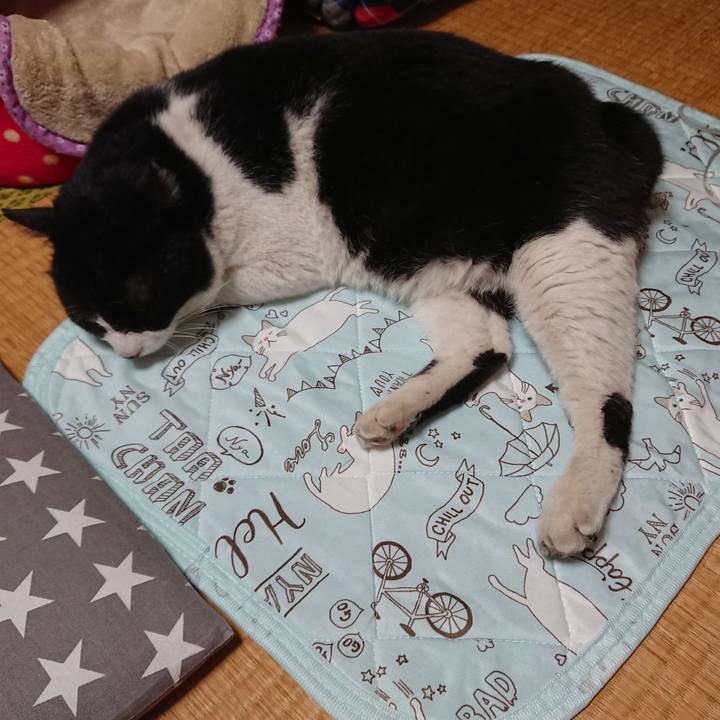 Bd976be0 fa85 47f9 857c 653a3d3631e0 1558097462286