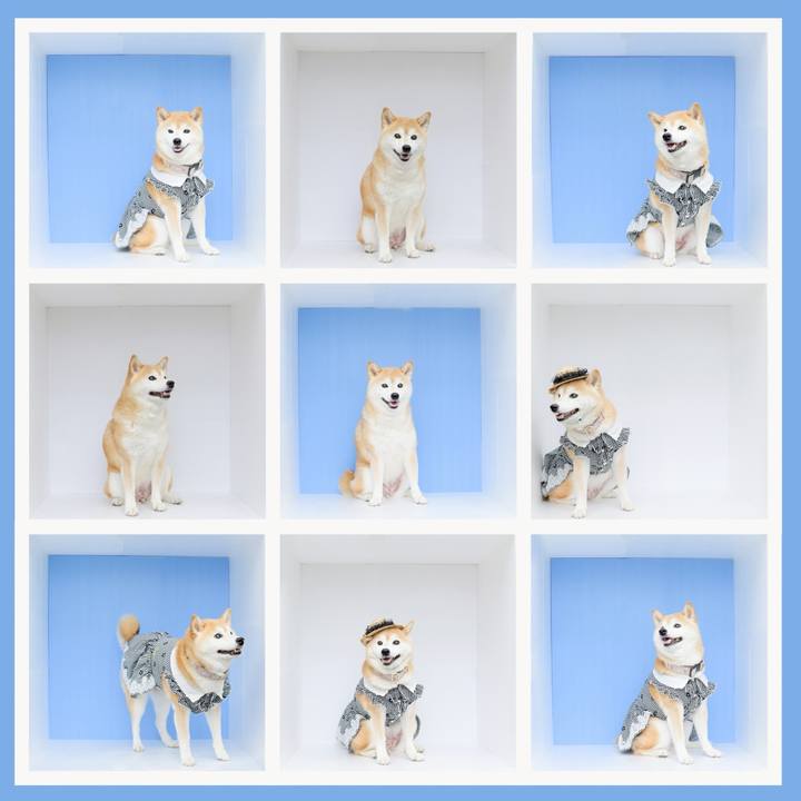 Bd97a18c 281e 483c 8d0e af50a873a97b 1756617853976