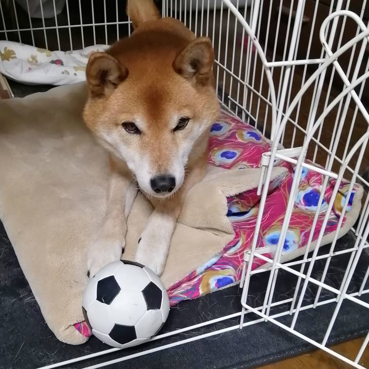 Bd97dbf5 67fc 4708 8c33 91bdabd95c83 1643717623168