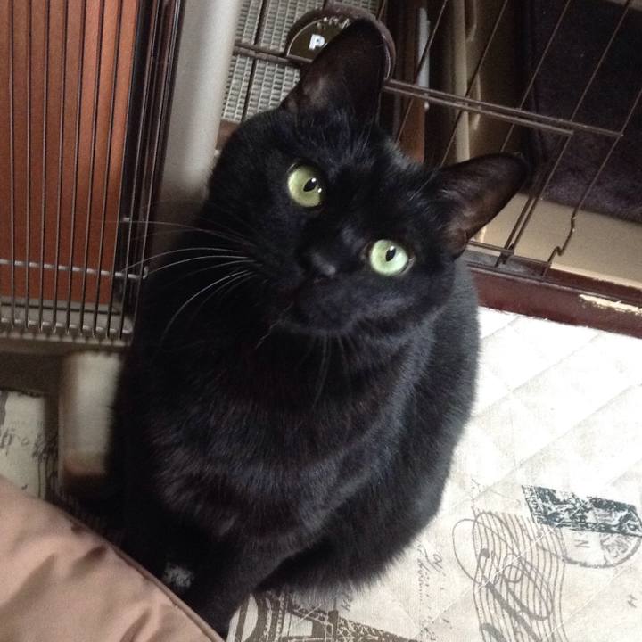 Bd97e278 0ce8 44fd 9f49 94d04a12f628 1516437658630