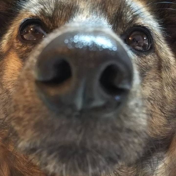 Bd97f373 9d84 40f3 afbb b147db411c50 1548931623344